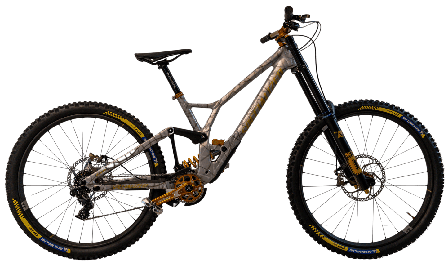 Specialized Demo Race [Privatverkauf]