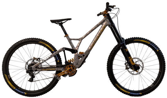 Specialized Demo Race [Privatverkauf]