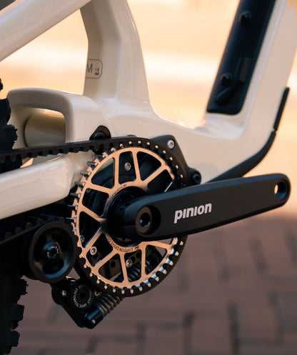 Zerode Shadow in Cream white (glossy) – Pinion-Getriebe und Gates-Riemenantrieb im Detail – Gravity & Sons, Helmbrechts.